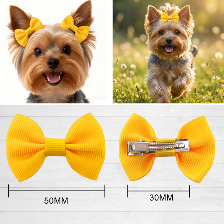 QingHan Dog Hair Bows Small Puppy Clips for Pet Grooming Accessories Doggy Gifts 60Pcs (30 Pairs)