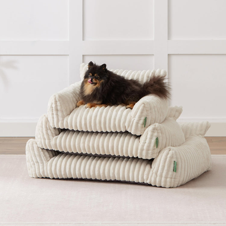 Cute Couch Bed for Pets, Supportive Cat Sofa for Indoor Cats, Small Dog Sofa Bed for Small Dogs, Grey, 24 inches