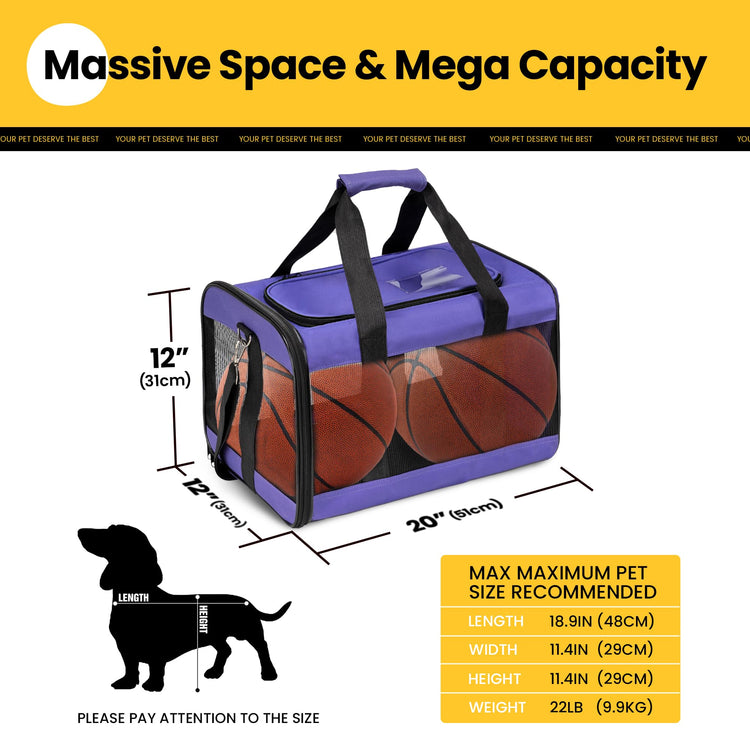 Conlun Cat Carrier Airline Approved, Soft-Sided Dog Carrier with Inner Safety Leash, Pet Transport Carrier for Small-Medium Cats Puppies up to 15 Lbs, Collapsible Travel Kitten Carrier Bag -BlackM