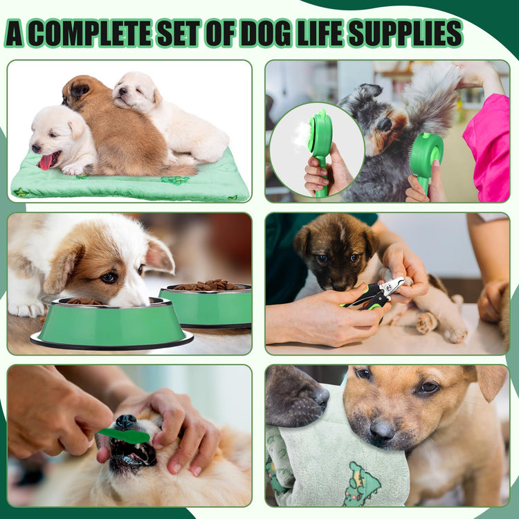 Abbylike 50 Pcs Puppy Supplies Starter Kit for Small Dogs Puppy Essentials Includes Leash, Bowls, Teeth Brushes, Water Bottle, and More Accessories for Dogs Pet Day Welcome Gift(Purple)