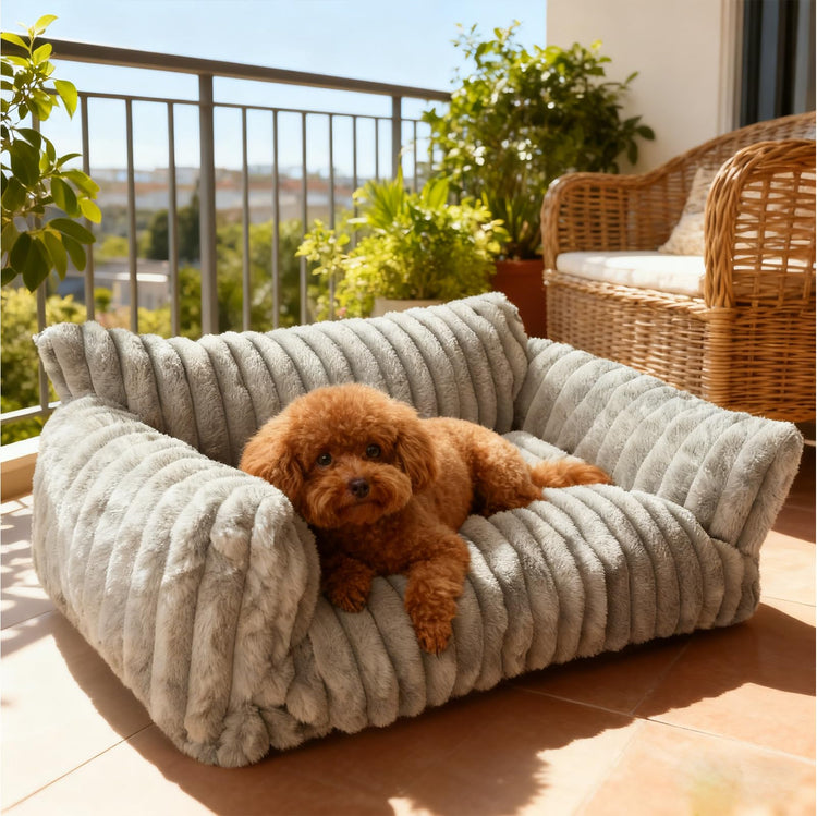 Cat Couch for Pets - Cute Cat Beds for Indoor Cats with Removable Cover, Washable Soft Corduroy Plush, Fluffy Supportive Pet Sofa Chair for Small Dog & Cats, 30 inch Brown