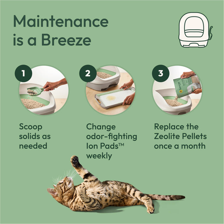 Purina Tidy Cats Litter Box System, BREEZE System Starter Kit Litter Box, Litter Pellets & Pads