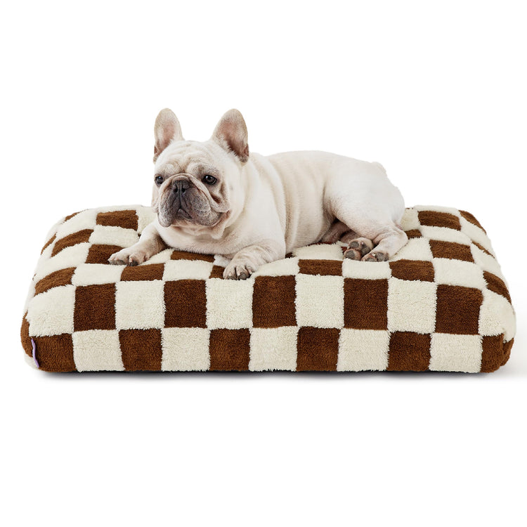 LE SURE Dog Beds Medium Size-Thick Shredded Chopped Foam Pet Bed as Gift for Indoor with Removable Cover, Cute Modern Fuzzy Plush & Anti Slip Bottom, Green