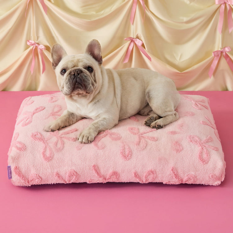 LE SURE Dog Beds Medium Size-Thick Shredded Chopped Foam Pet Bed as Gift for Indoor with Removable Cover, Cute Modern Fuzzy Plush & Anti Slip Bottom, Green