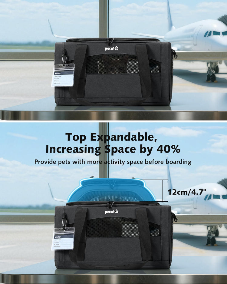 Pecute Expandable Pet Carrier Airline Approved Dog Cat Carrier, Breathable Soft-Sided with Locking Zippers, Pet Travel Bag for Small Dog Cat Anti-Scratch Mesh Leakproof Pee Pad (Dark Gray)