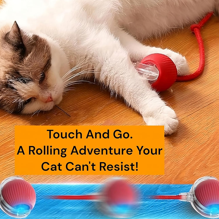 Purrmitive 2026 Durable Interactive Cat Toys for Indoor Cats, Dog Toys Ball, Rolling Pet Ball, Smart Automatic Cat Chase Balls Toy, Interactive Dog Toys Speedy Tail,Kitten & Cat Toys Interactive (Red)