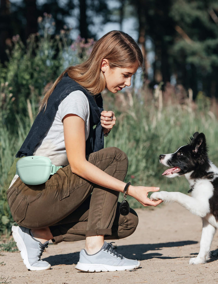 heouvo Dog Treat Pouch with Training Clicker, Upgrade Stronger Magnetic Closure to Avoid Spilling, 1.67 Cup Silicone Treat Bag Fanny Pack with Waist Belt for Pet Training Walking (Black)