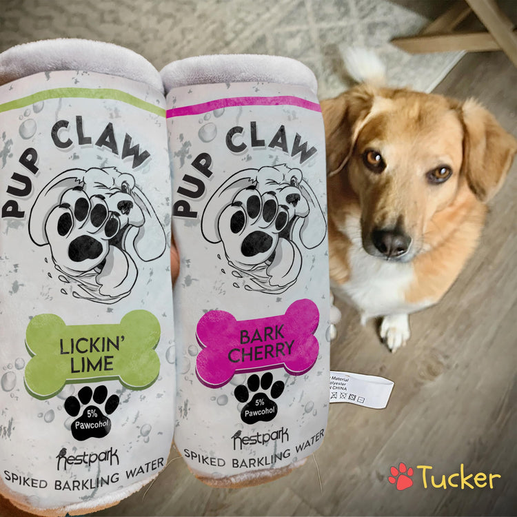 Nestpark Pup Claw Dog Toys - Funny Cute Plush Dog Toys with Squeaker and Crinkle - Parody (2 Pack) (Tropical Pack)