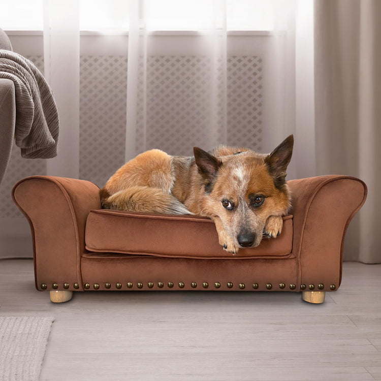 CRITTER SITTERS 33” Faux Suede Ped Bed in Brown, Durable Washable Sofa Couch for Small & Medium Cats & Dogs, Must Have Accessory for Yorkies, Shih Tzus & Frenchies, Kitten & Puppy Essential Furniture