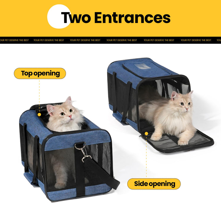 Conlun Cat Carrier Airline Approved, Soft-Sided Dog Carrier with Inner Safety Leash, Pet Transport Carrier for Small-Medium Cats Puppies up to 15 Lbs, Collapsible Travel Kitten Carrier Bag -BlackM