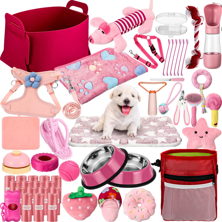 Abbylike 50 Pcs Puppy Supplies Starter Kit for Small Dogs Puppy Essentials Includes Leash, Bowls, Teeth Brushes, Water Bottle, and More Accessories for Dogs Pet Day Welcome Gift(Purple)
