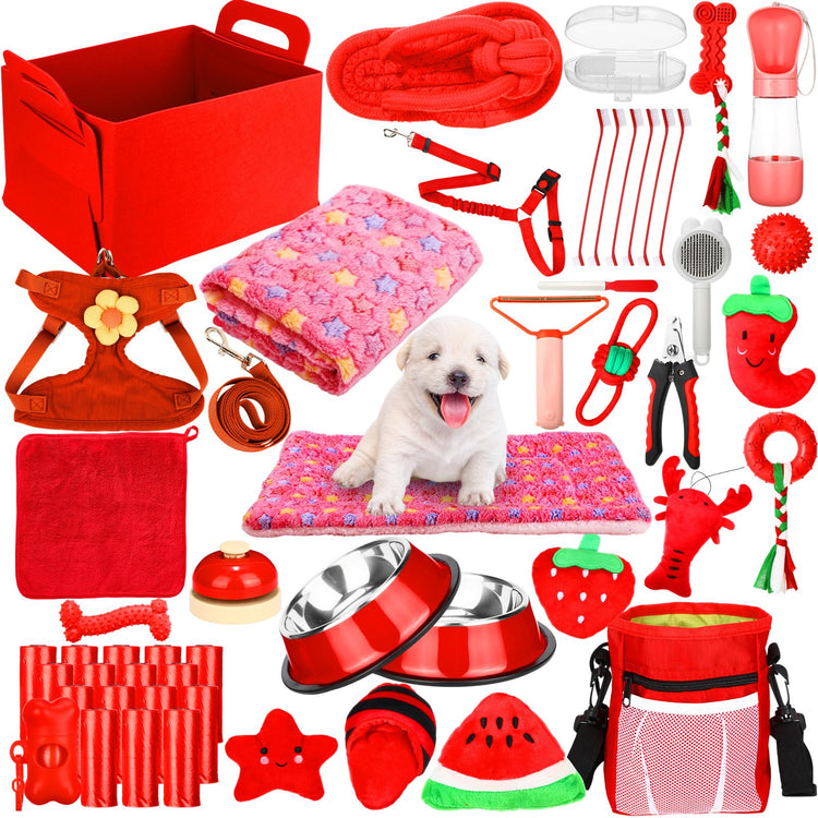 Abbylike 50 Pcs Puppy Supplies Starter Kit for Small Dogs Puppy Essentials Includes Leash, Bowls, Teeth Brushes, Water Bottle, and More Accessories for Dogs Pet Day Welcome Gift(Purple)