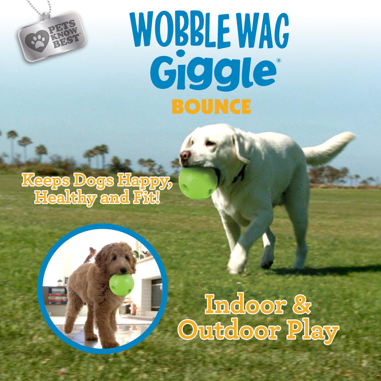 Wobble Wag Giggle Ball, Interactive Dog Toy, Fun Giggle Sounds When Rolled or Shaken, Pets Know Best, As Seen On TV