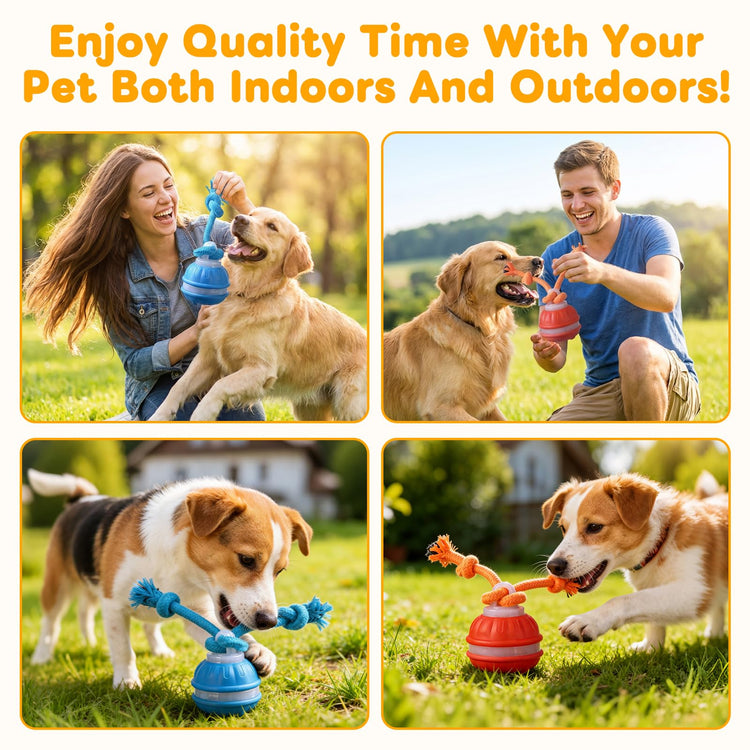 Zealburst Interactive Pet Toy, 360° Auto Rolling Moving Toy for Dogs and Cats, Alleviate Boredom (Blue)