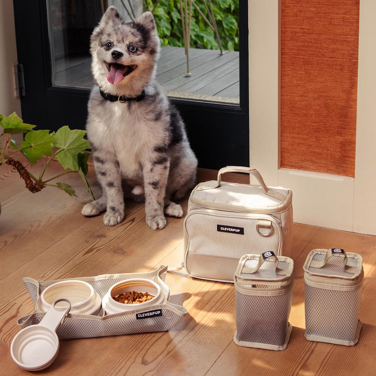 Cleverpup, Large 7-Piece Bistro Box Dog Food Travel Kit, 12-Cup Kibble Storage, 2 Silicone Bowls, Mat & Scoop - Premium Portable Pet Food Kit for Weekends, Overnights, Daycare & Camping, Checkerboard