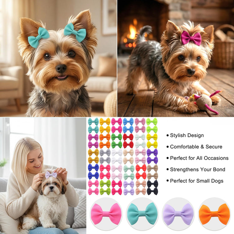 QingHan Dog Hair Bows Small Puppy Clips for Pet Grooming Accessories Doggy Gifts 60Pcs (30 Pairs)