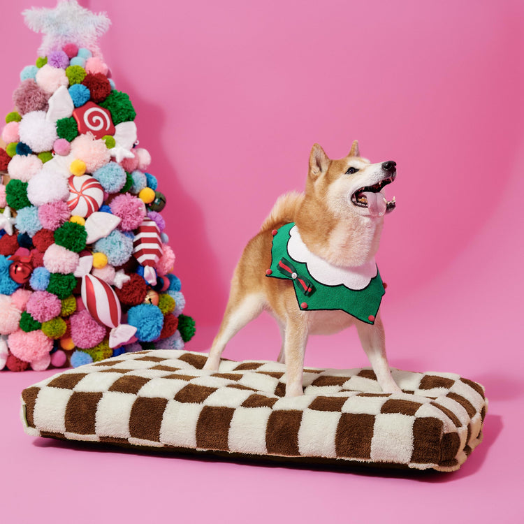 LE SURE Dog Beds Medium Size-Thick Shredded Chopped Foam Pet Bed as Gift for Indoor with Removable Cover, Cute Modern Fuzzy Plush & Anti Slip Bottom, Green