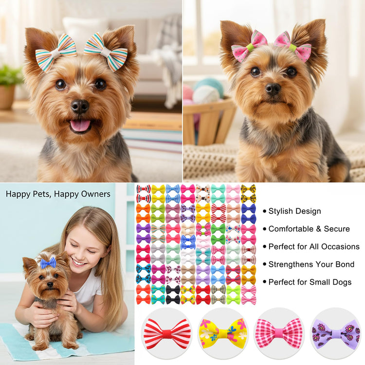 QingHan Dog Hair Bows Small Puppy Clips for Pet Grooming Accessories Doggy Gifts 60Pcs (30 Pairs)