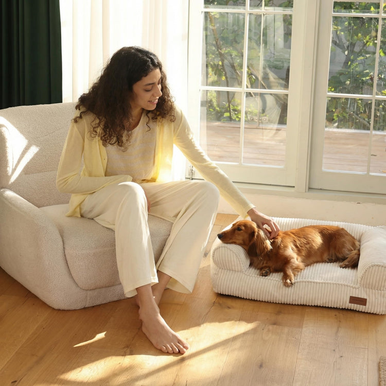 FUKUMARU Dog Couch Bed, Corduroy Cozy Cat Bed for Indoor Cats with Washable Cover, 28in Waterproof Orthopedic Dog Beds Sofa for Small Dogs and Large Cats, Cute Warm Cotton Pet Sofa, Green