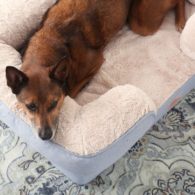 Town & Country Everyday CuddleTown Comfy Solid Bolster Sofa Pet Bed, Supportive & Calming Egg Crate Foam, Non-Slip Bottom, Machine Washable Cover, Grey, Medium 28"x23"x8"