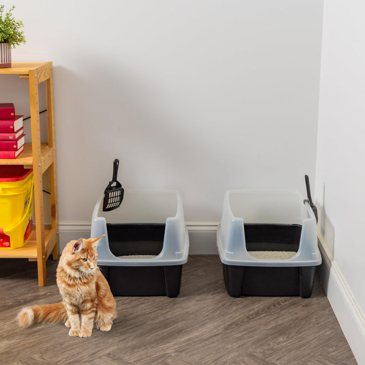 IRIS USA Cat Litter Box Large Open Top with High Sided Walls Tall Scatter Shield Scoop Included Easy Clean Plastic Pan Stain Resistant for Big Cats Kittens Indoor Multi-Cat Households