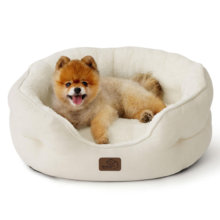 Bedsure Dog Beds for Small Dogs - Round Medium Cat Beds for Indoor Cats, Washable Pet Bed for Puppy and Kitten with Slip-Resistant Bottom, 25 Inches, Taupe