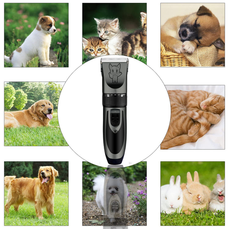 Highdas Dog Clippers for Grooming Low Noise, Cordless Electric Dog Grooming Kit Clippers Rechargeable, Quiet Dog Shaver, Pet Hair Trimmer Kit for Dogs & Cats (Gold)