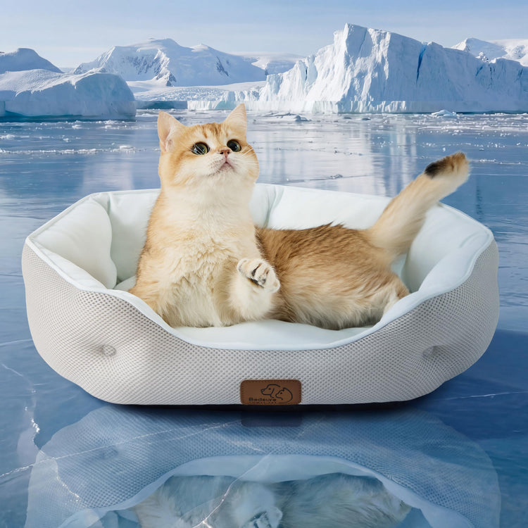 Bedsure Dog Beds for Small Dogs - Round Medium Cat Beds for Indoor Cats, Washable Pet Bed for Puppy and Kitten with Slip-Resistant Bottom, 25 Inches, Taupe