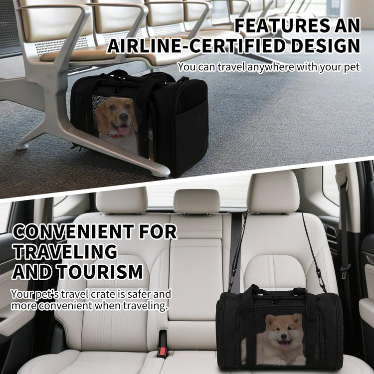 Cat Dog Carriers Soft-Sided, Pet Travel Carrier for Small Cats Dogs Under to15lbs, Soft-Solid Collapsible Carrier,(Medium,Green)