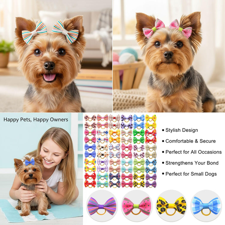 QingHan Dog Hair Bows Small Puppy Clips for Pet Grooming Accessories Doggy Gifts 60Pcs (30 Pairs)