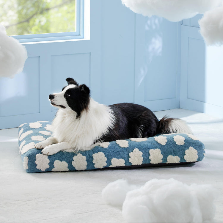 LE SURE Dog Beds Medium Size-Thick Shredded Chopped Foam Pet Bed as Gift for Indoor with Removable Cover, Cute Modern Fuzzy Plush & Anti Slip Bottom, Green