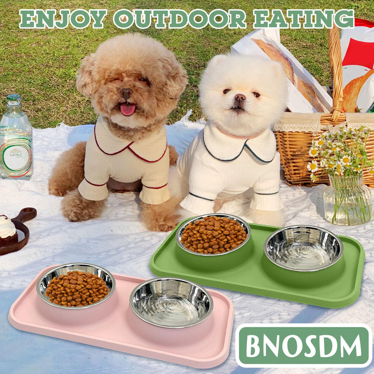BNOSDM Double Dog Food Bowls Stainless Steel Dog Food and Water Bowls with Non-Spill Plastic Mat Pet Cat Feeder Bowl Set for Puppy Cats Kitten Small Medium Dogs Pink