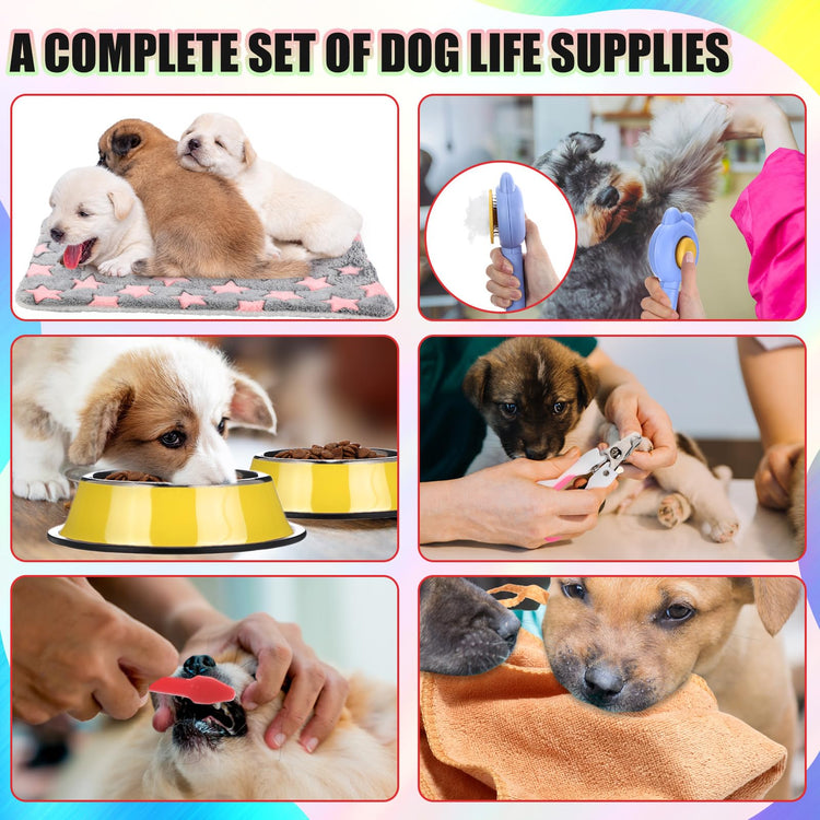 Abbylike 50 Pcs Puppy Supplies Starter Kit for Small Dogs Puppy Essentials Includes Leash, Bowls, Teeth Brushes, Water Bottle, and More Accessories for Dogs Pet Day Welcome Gift(Purple)