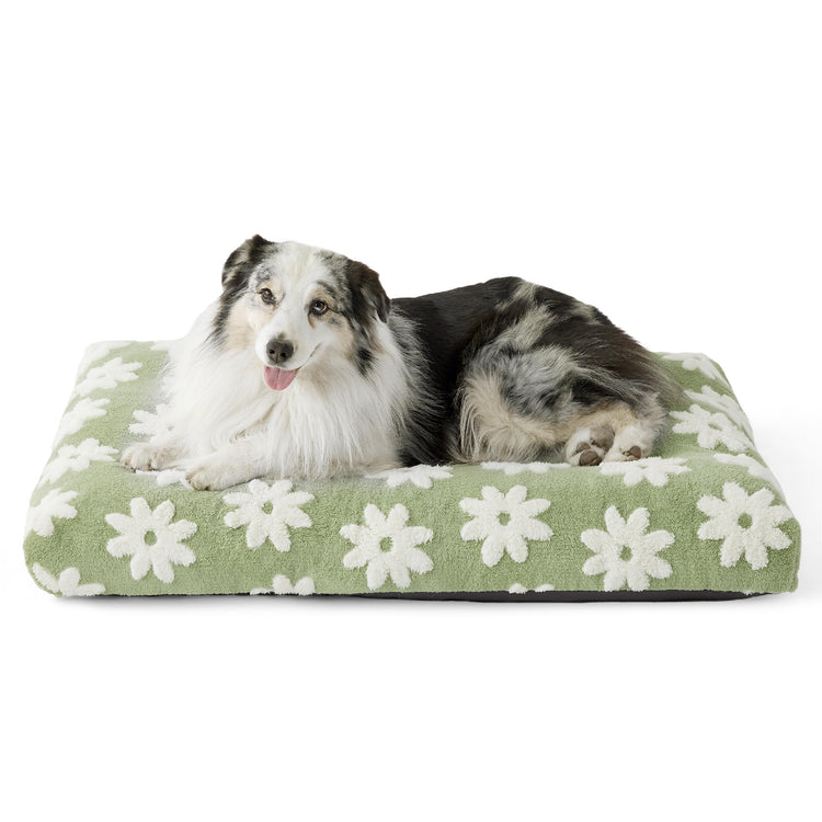 LE SURE Dog Beds Medium Size-Thick Shredded Chopped Foam Pet Bed as Gift for Indoor with Removable Cover, Cute Modern Fuzzy Plush & Anti Slip Bottom, Green