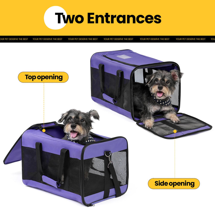 Conlun Cat Carrier Airline Approved, Soft-Sided Dog Carrier with Inner Safety Leash, Pet Transport Carrier for Small-Medium Cats Puppies up to 15 Lbs, Collapsible Travel Kitten Carrier Bag -BlackM