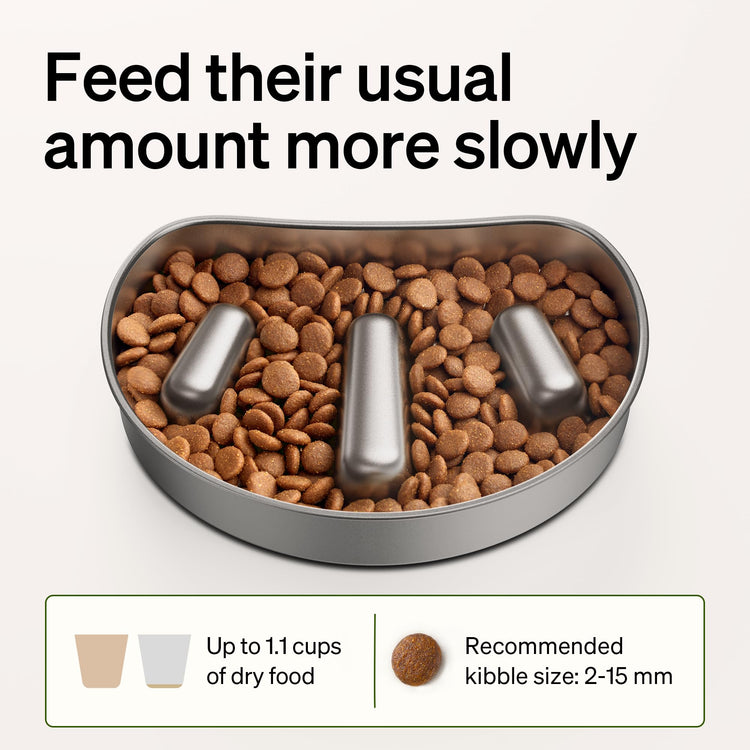 PETLIBRO Automatic Cat Feeder with Camera, 1080P HD & Night Vision, 5GHz/2.4GHz WiFi & Cam Smart Pet Feeder with App Control, 2-Way Audio, Motion Alerts for Cats & Dogs, Stainless Steel Single Tray
