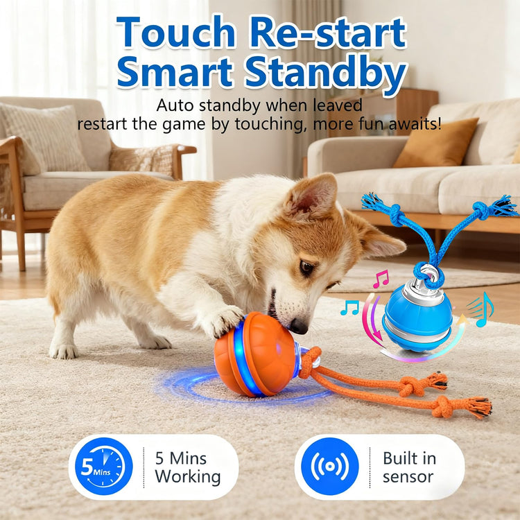 Interactive Dog Toys, Interactive Dog Ball with Birdsong Squeaky Chewable Rope for Small/Medium/Large Dogs,Automatic Moving Dogs Toy Wicked Ball for Boredom & Training,Dog Toys to Keep them Busy(Blue)