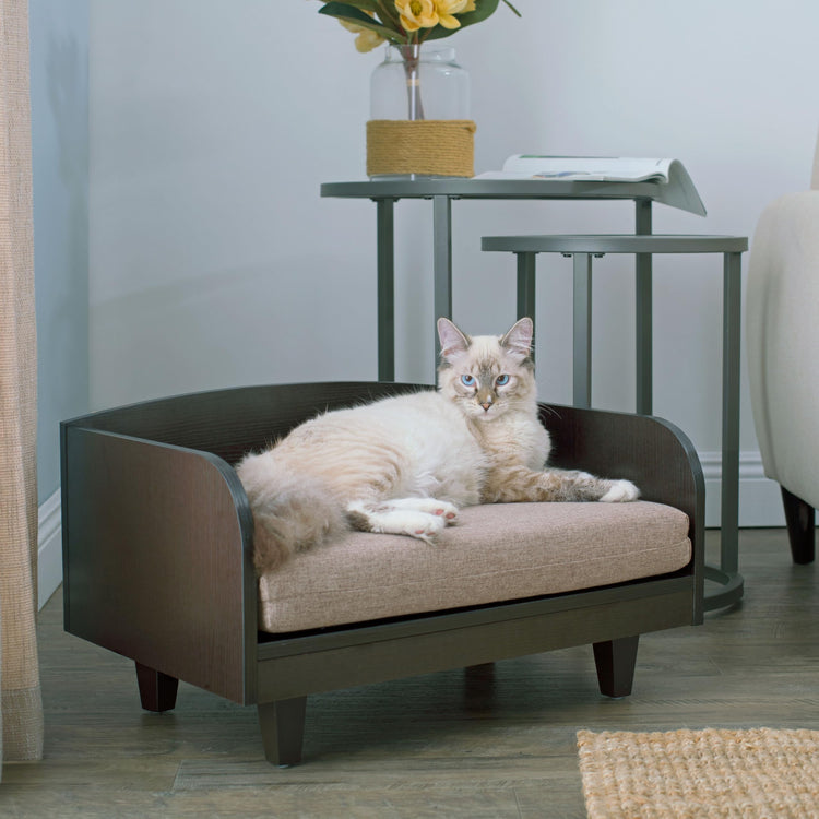 Paws & Purrs Cat Sofa Bed with Storage Drawer, Espresso Finish, 31.5″ x 15.75″ x 19.25″ | 3″ Foam Cushion with Washable Cover | Fits Dogs and Pets up to 50 lb