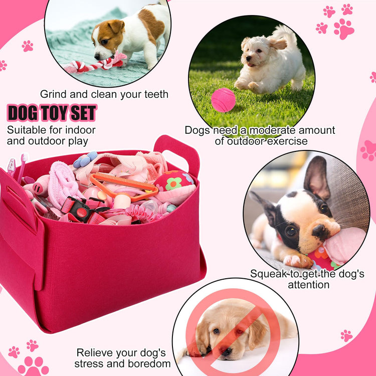 Abbylike 50 Pcs Puppy Supplies Starter Kit for Small Dogs Puppy Essentials Includes Leash, Bowls, Teeth Brushes, Water Bottle, and More Accessories for Dogs Pet Day Welcome Gift(Purple)