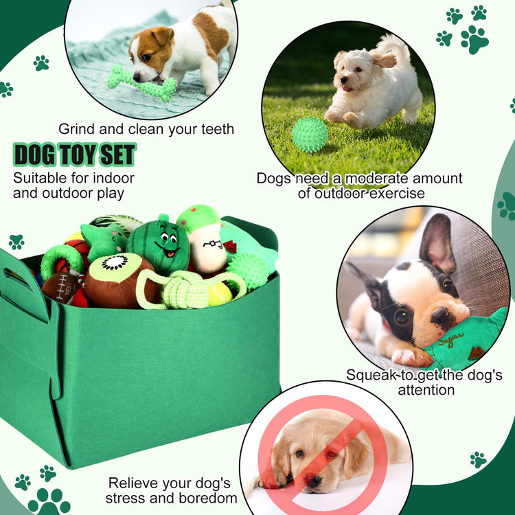 Abbylike 50 Pcs Puppy Supplies Starter Kit for Small Dogs Puppy Essentials Includes Leash, Bowls, Teeth Brushes, Water Bottle, and More Accessories for Dogs Pet Day Welcome Gift(Purple)