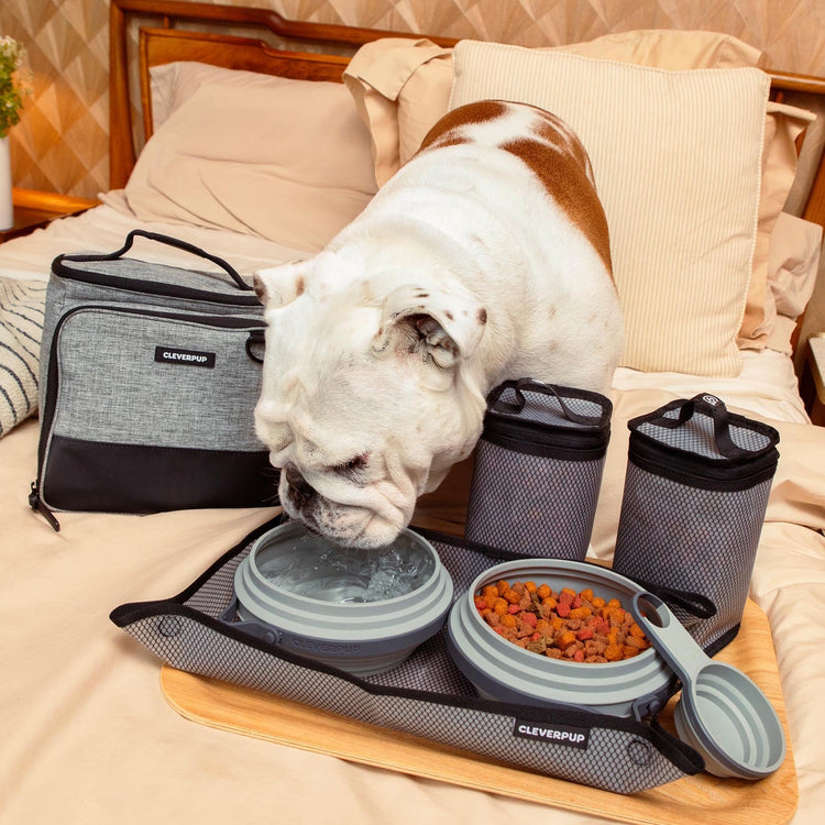 Cleverpup, Large 7-Piece Bistro Box Dog Food Travel Kit, 12-Cup Kibble Storage, 2 Silicone Bowls, Mat & Scoop - Premium Portable Pet Food Kit for Weekends, Overnights, Daycare & Camping, Checkerboard