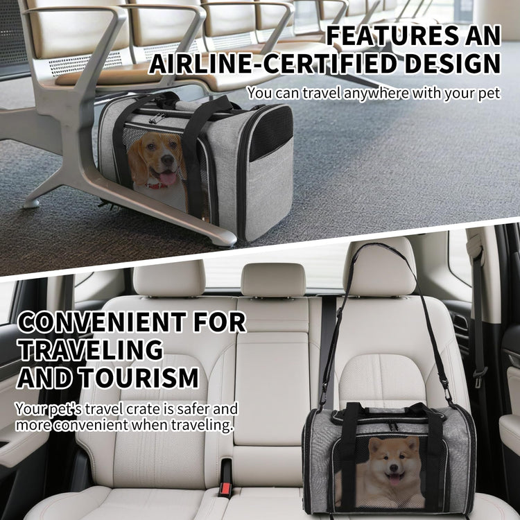 Cat Dog Carriers Soft-Sided, Pet Travel Carrier for Small Cats Dogs Under to15lbs, Soft-Solid Collapsible Carrier,(Medium,Green)