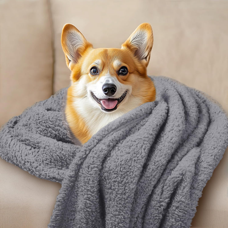 1 Pack 3 Calming Blankets Fluffy Premium Fleece Pet Blanket Soft Sherpa Throw for Dog Puppy Cat Beige Small (23" x16'')