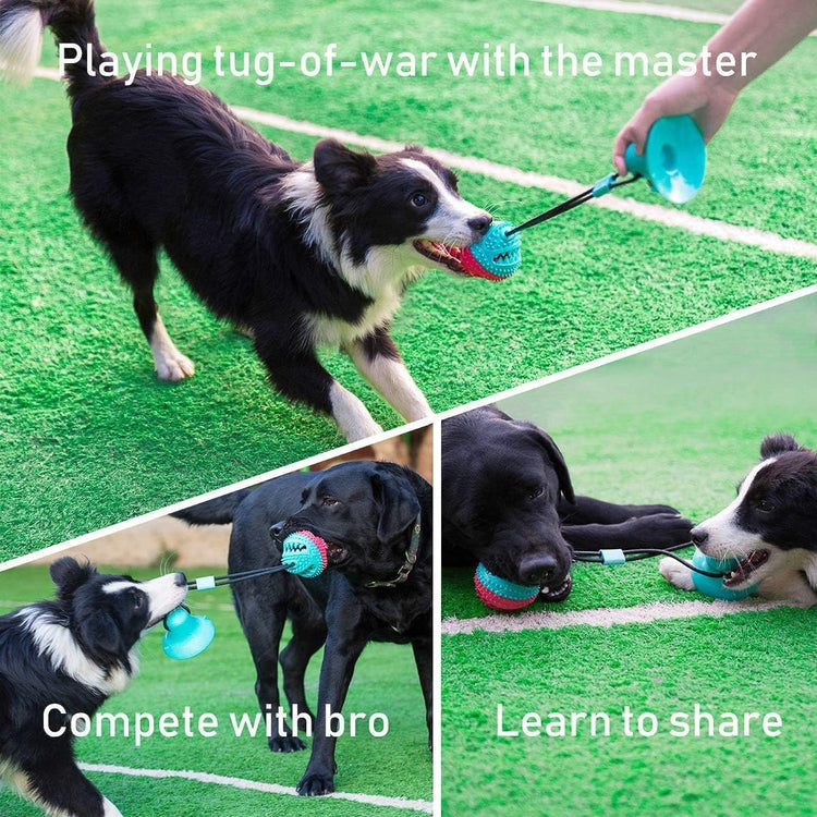 ALLRIER Dog Toys to Keep Them Busy for Boredom,Interactive Dog Toys Tug of War, Mentally Stimulating Toys for Dog, Puppy Teething Puzzle Treat Food Dispensing Ball Toy for Small Medium Dogs