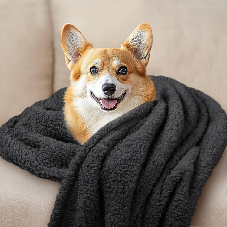 1 Pack 3 Calming Blankets Fluffy Premium Fleece Pet Blanket Soft Sherpa Throw for Dog Puppy Cat Beige Small (23" x16'')