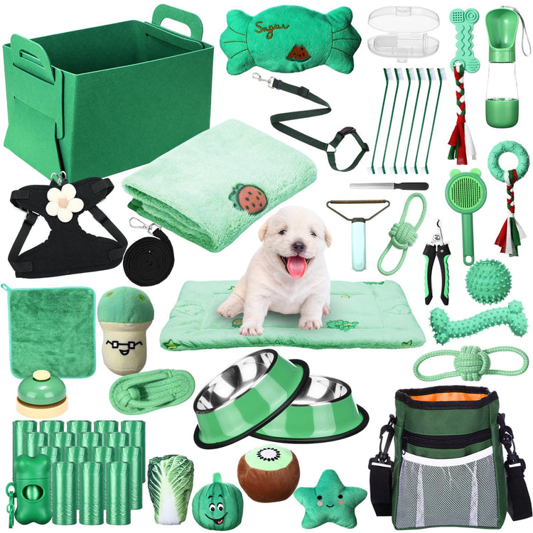 Abbylike 50 Pcs Puppy Supplies Starter Kit for Small Dogs Puppy Essentials Includes Leash, Bowls, Teeth Brushes, Water Bottle, and More Accessories for Dogs Pet Day Welcome Gift(Purple)