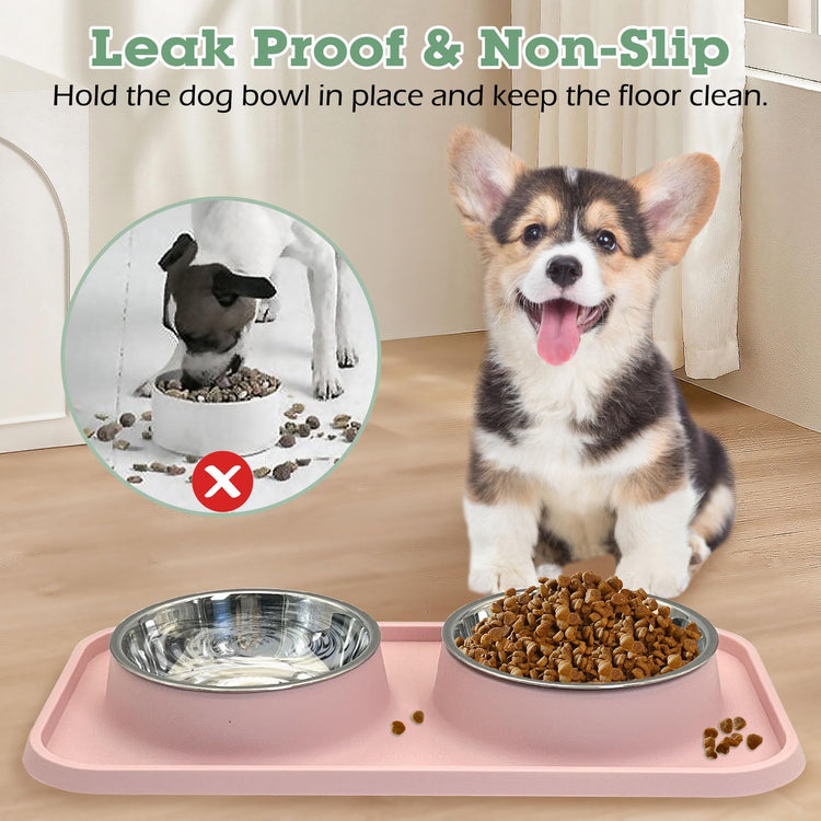 BNOSDM Double Dog Food Bowls Stainless Steel Dog Food and Water Bowls with Non-Spill Plastic Mat Pet Cat Feeder Bowl Set for Puppy Cats Kitten Small Medium Dogs Pink