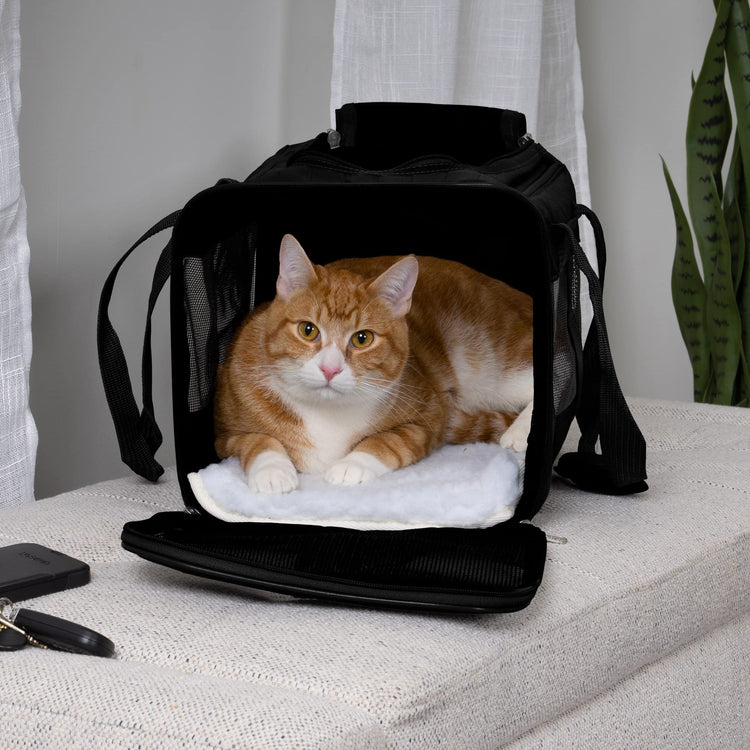 Sherpa Original Deluxe Travel Pet Carrier, Airline Approved - Black, Large