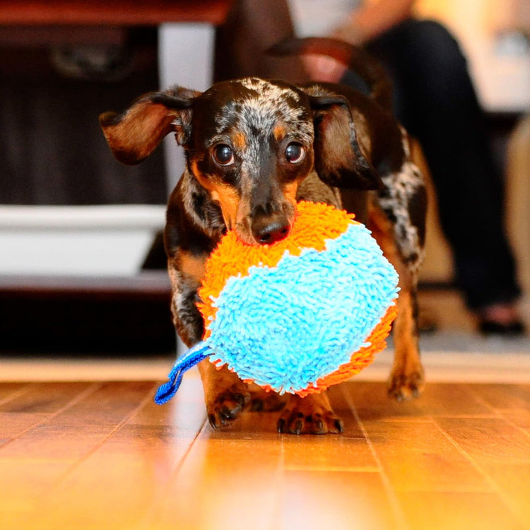 Chuckit! Indoor Fetch Roller Toy for Dogs - Interactive Dog Toys for Boredom, Orange and Blue