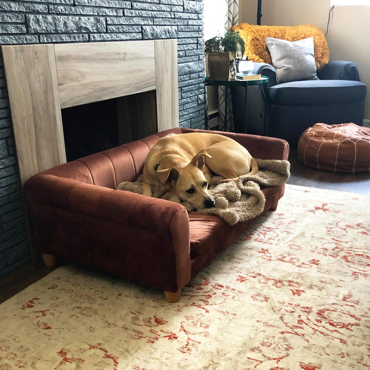 CRITTER SITTERS 33” Faux Suede Ped Bed in Brown, Durable Washable Sofa Couch for Small & Medium Cats & Dogs, Must Have Accessory for Yorkies, Shih Tzus & Frenchies, Kitten & Puppy Essential Furniture
